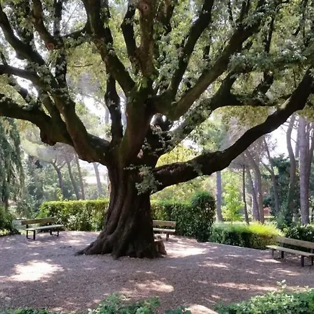 Casa Del Sole Albano Laziale